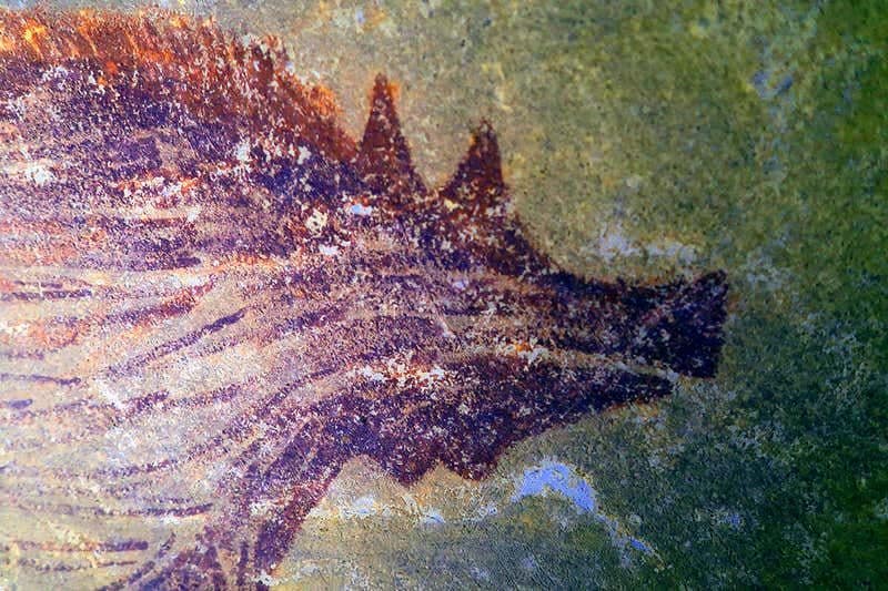 Oldest Cave Painting Found in Indonesia Was Made 45500 Years Ago