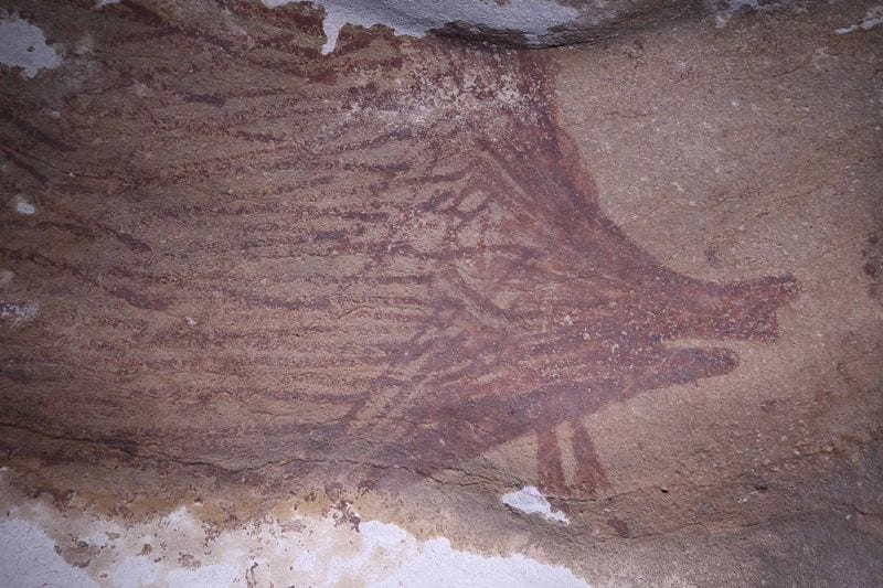 Oldest Cave Painting Found in Indonesia Was Made 45500 Years Ago