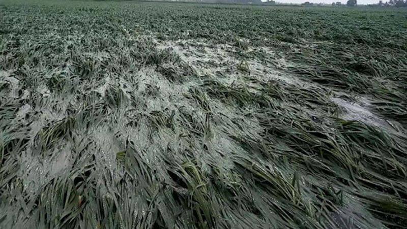 crop damage due to heavy rains...mk stalin slams edappadi palanisamy