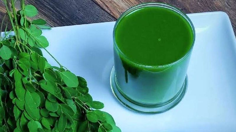 Moringa leaves good for liver and kidney