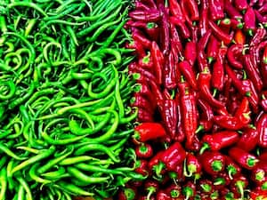 Green chilli vs. Red chilli: Which is healthier for you?