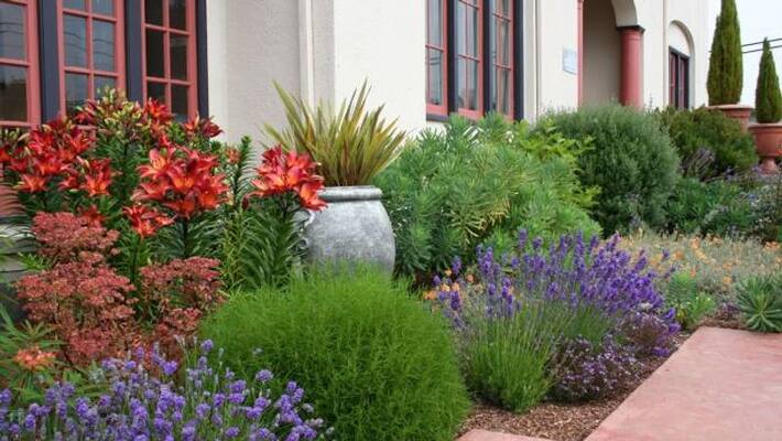Mediterranean style garden in home Mediterranean style garden in home