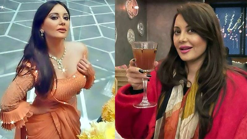 मिनिषा ने 2005 में फिल्म 'यहां से' बॉलीवुड डेब्यू किया था। इसमें उन्होंने जिम्मी शेरगिल के साथ काम किया था। इसके बाद 'कॉरपोरेट', 'हनीमून ट्रैवल्स', 'दस कहानियां', 'किडनैप', 'शौर्य', 'अनामिका', वेलडन अब्बा, भेजा फ्राय 2, हम तुम शबाना, जोकर, जिला गाजियाबाद जैसी फिल्मों में नजर आईं।
