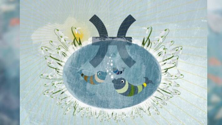 November 2021 how will effect on Pisces BDD November 2021 how will effect on Pisces BDD