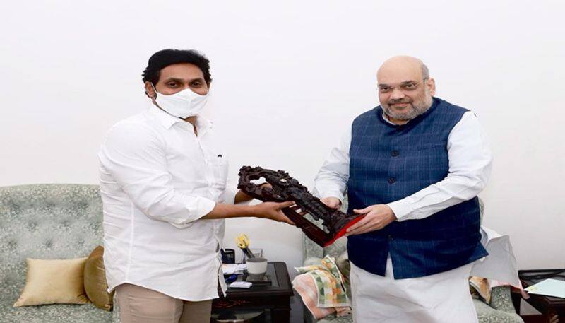 AP CM YS Jagan Meeting With Union Home Minister Amit Shah