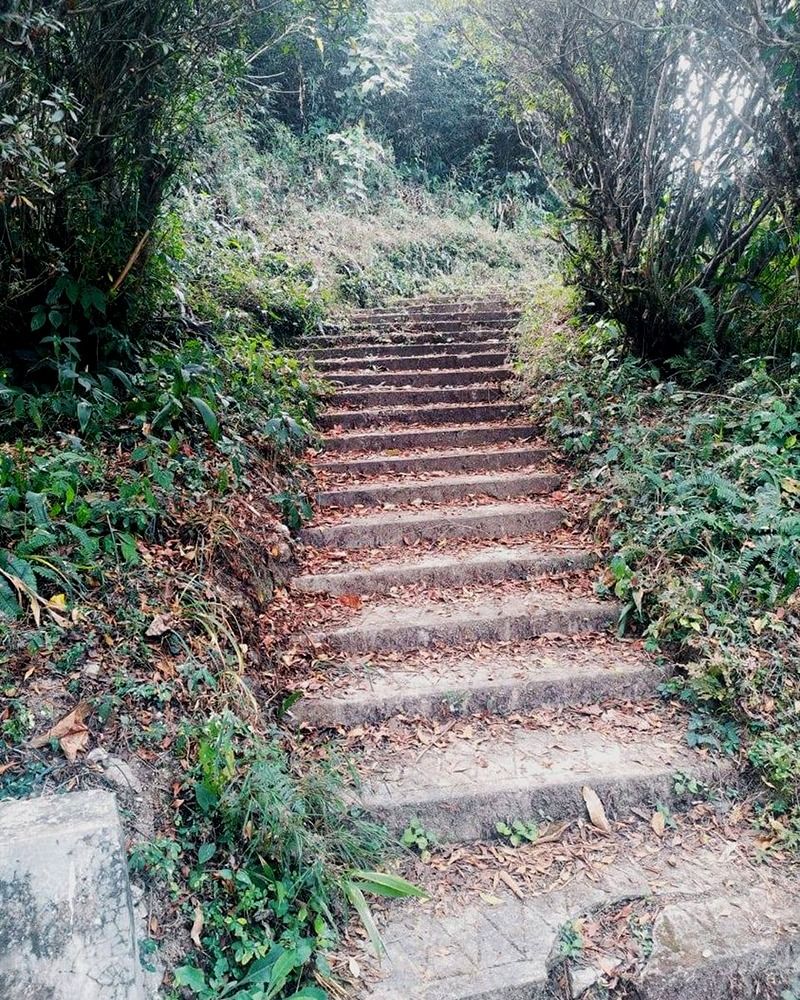 looking for an adventure trip you can visit kalimpong once bjc