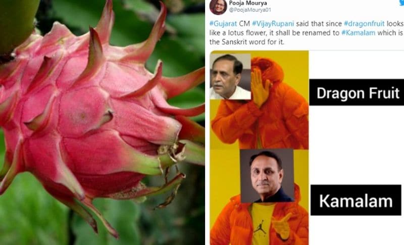 ಗುಜರಾತ್ನಲ್ಲಿ ಡ್ರ್ಯಾಗನ್ ಫ್ರೂಟ್ಗೆ ಹೆಚ್ಚಿನ ಬೇಡಿಕೆ ಇದೆ. ಇಷ್ಟೇ ಅಲ್ಲ ಗುಜರಾತ್ನಲ್ಲಿ ಹೆಚ್ಚಾಗಿ ಡ್ರ್ಯಾಗನ್ ಫ್ರೂಟ್ ಬೆಳೆಯಲಾಗುತ್ತಿದೆ. ಸಾಮಾಜಿಕ ಜಾಲತಾಣದಲ್ಲಿ ಈ ನಿರ್ಧಾರವನ್ನು ವ್ಯಂಗ್ಯವಾಡಿದ್ದಾರೆ.