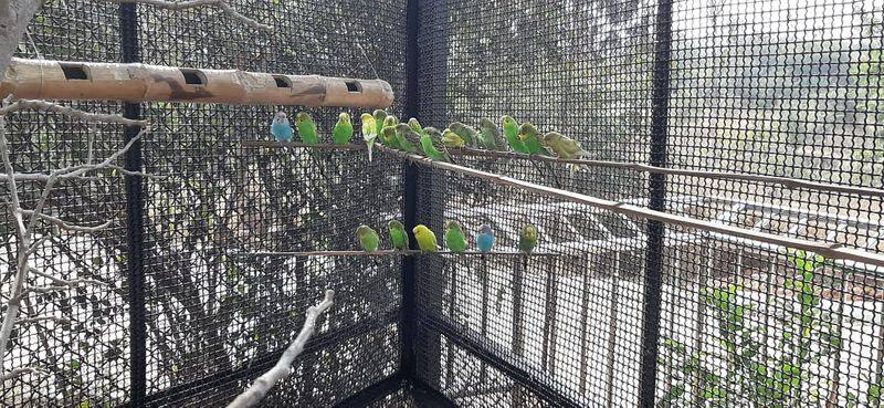 Tourits Rush to Visit Atal Bihari Vajpayee Zoological Park grg
