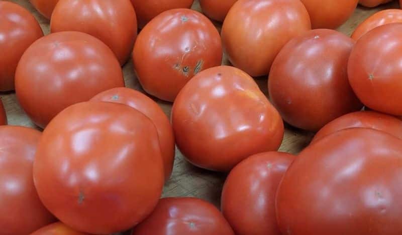 Tomato price hiked