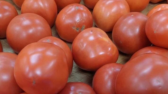 Tomato Prices Rise in Bengaluru grg Tomato Prices Rise in Bengaluru grg