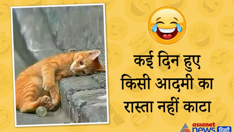 बिल्ली मौसी को छोड़िए..आदमी भी अकसर फालूत टाइम में ऐसे ही जतन करता है कि कब कोई मिले और उसे पका सकें।