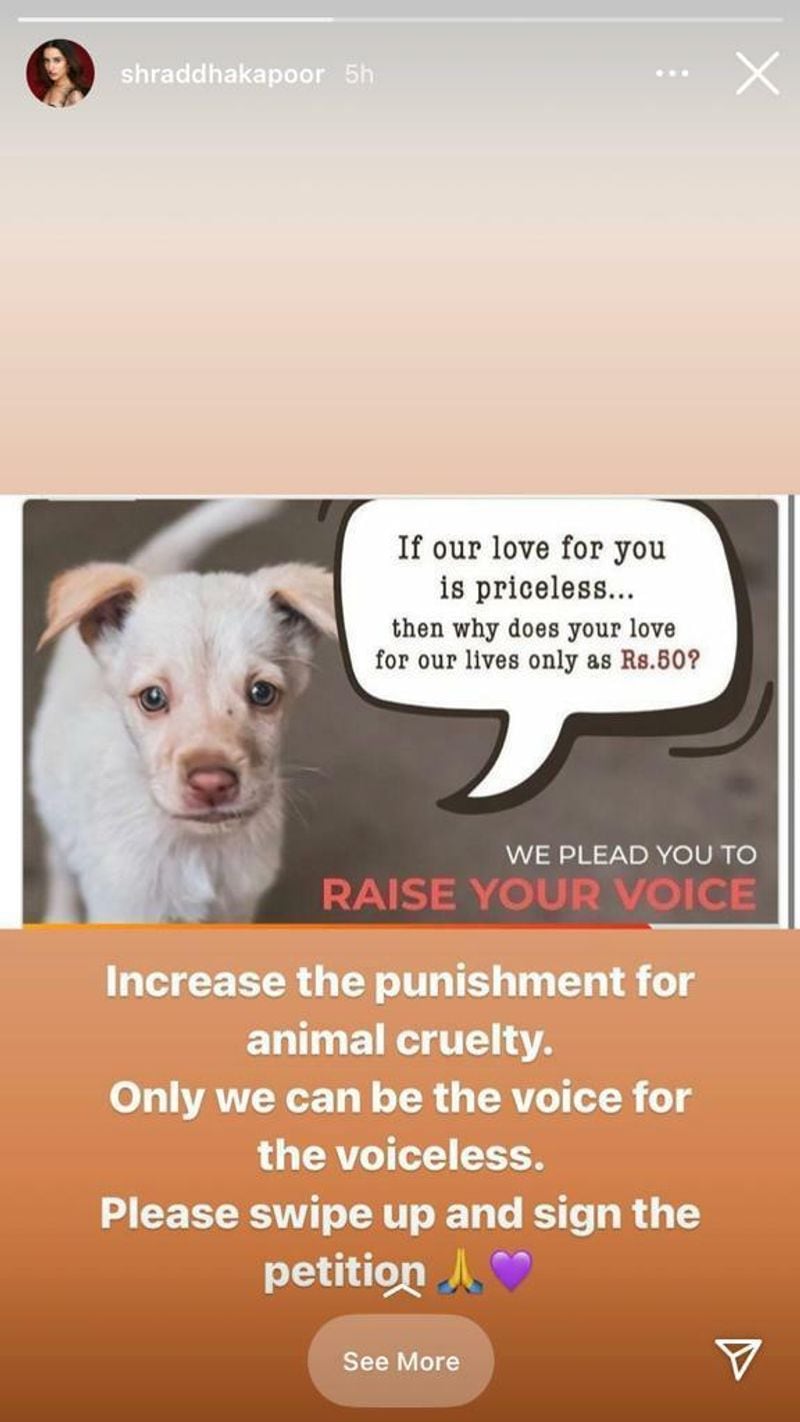 She shared the image with caption, "Increase the punishment for animal cruelty. Only we can be the voice for the voiceless. Please swipe up and sign the petition."