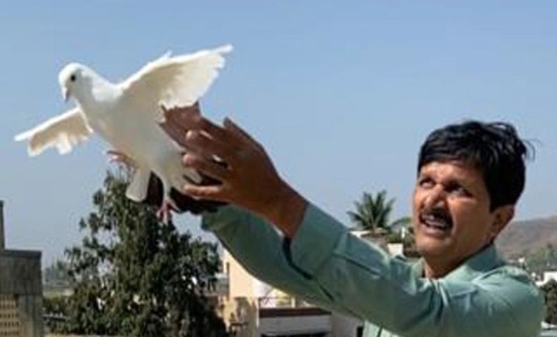तांत्रित ने पीड़ित परिवार से चार कबूतरों को खरीदने के लिए कहा, जिनकी कीमत करीब साल रुपए बताई थी। बाबा कहने लगा कि इन को खरीदने से तुम्हारे बेटे की जगह इन कबूतरों की मौत हो जाएगी। एक की कीमत करीब 1 लाख 70 हजार रुपए बताई, बेटे की ठीक होने की उम्मीद ने परिवार के लोगों ने बाबा की बात मान ली। अगले दिन उसको 7 लाख रुपए देकर यह कबूतर लेकर अपने घर आ गए।