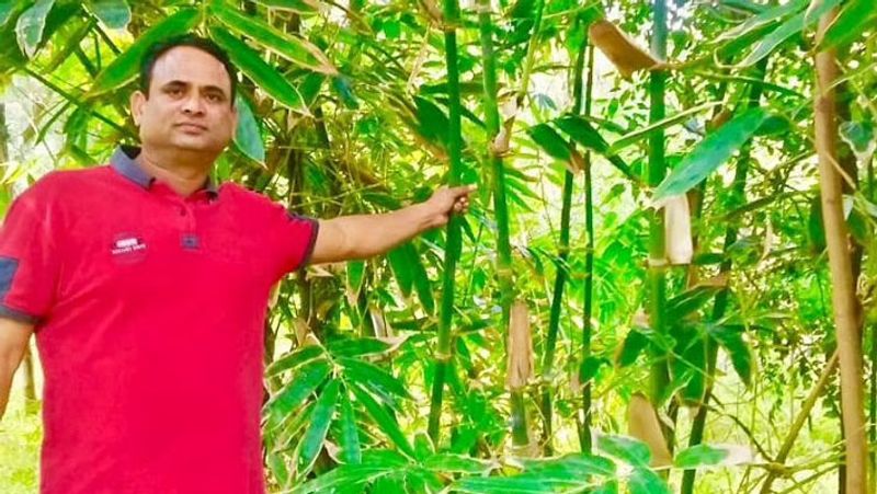 50 वर्षीय राजशेखर बताते हैं कि इन 40 हजार पौधों से 10 लाख पेड़ उपजे। पहले साल उन्होंने एक लाख रुपए के बांस बेचे। इसके बाद यही मुनाफा 20 लाख तक जा पहुंचा। अब सालाना टर्न ओवर 5 करोड़ रुपए है।
