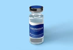 India to send its Covishield vaccine to Pakistan as part of global Covax alliance