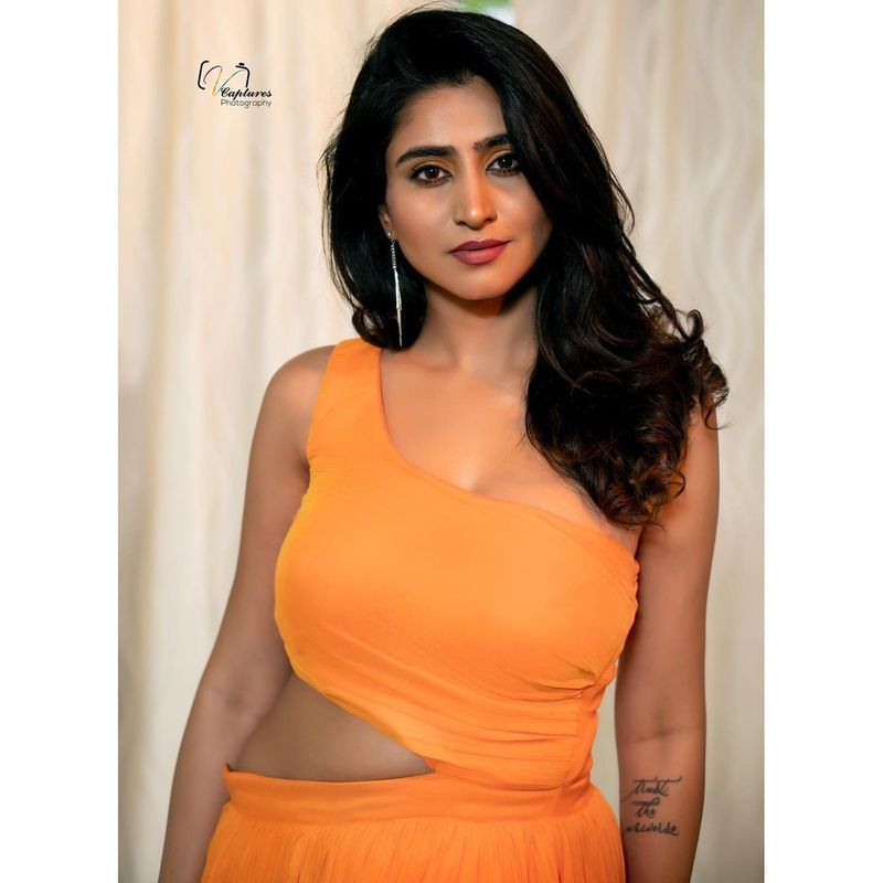 రష్మీ, అనసూయ, శ్రీ ముఖి వలే పెద్దగా క్రేజ్ లేని వర్షిణి చేతిలో చెప్పుకోదగ్గ ప్రోగ్రాం ఏమీ లేవు. మంచి పాపులారీ ఉన్న ఢీ కూడా చేజారడం ఈమె కెరీర్ ని దెబ్బతీసింది అనొచ్చు.