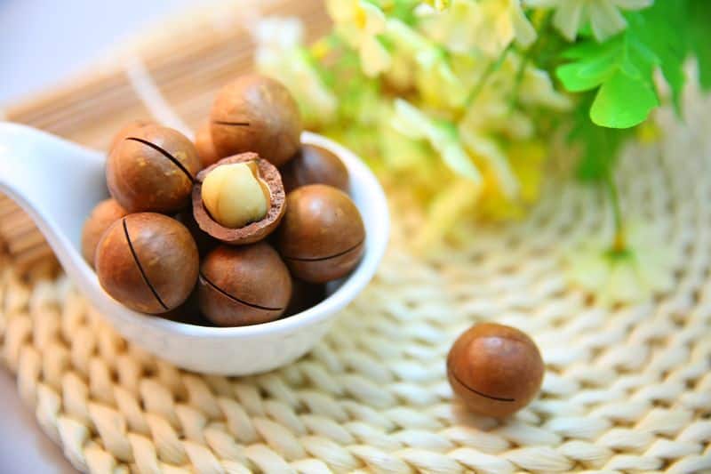 Macadamia Nuts how to grow