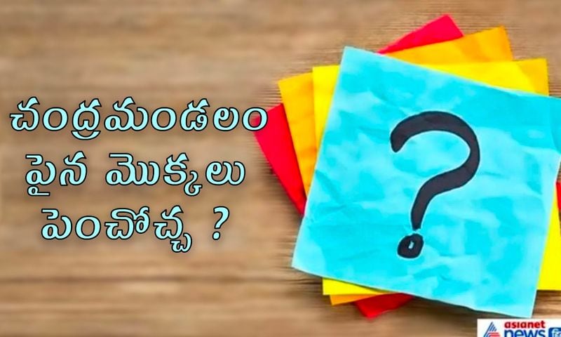 <p>జవాబు: చంద్రునిపై పత్తి మొక్కను నాటడంలో చైనా చేంజ్ -4 మిషన్ విజయవంతమైంది. పత్తితో పాటు, బంగాళాదుంప, ఆవాలు కూడా పండించారు. శాస్త్రవేత్తలు గాలి, నీరు, మట్టితో నిండిన 18 సెంటీమీటర్ల బకెట్లో ఈ ప్రయోగాన్ని నిర్వహించారు.</p>