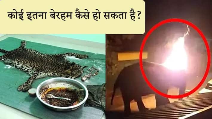 5 Kerala men arrested killing leopard and eating its meat MJA 5 Kerala men arrested killing leopard and eating its meat MJA