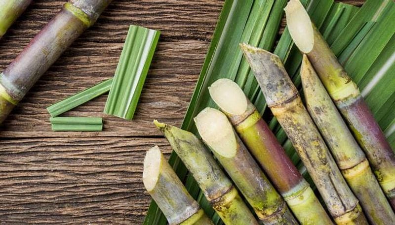 But, did you know that sugarcane juice can also help in weight loss? It might come as a surprise to many people as sugarcane is what sugar is made from and sugar is the enemy when it comes to weight loss. However, if consumed at the right time and in the right quantity, sugarcane juice may actually help you achieve your weight loss goals. Here are some reasons why sugarcane juice maybe your ideal weight loss drink.