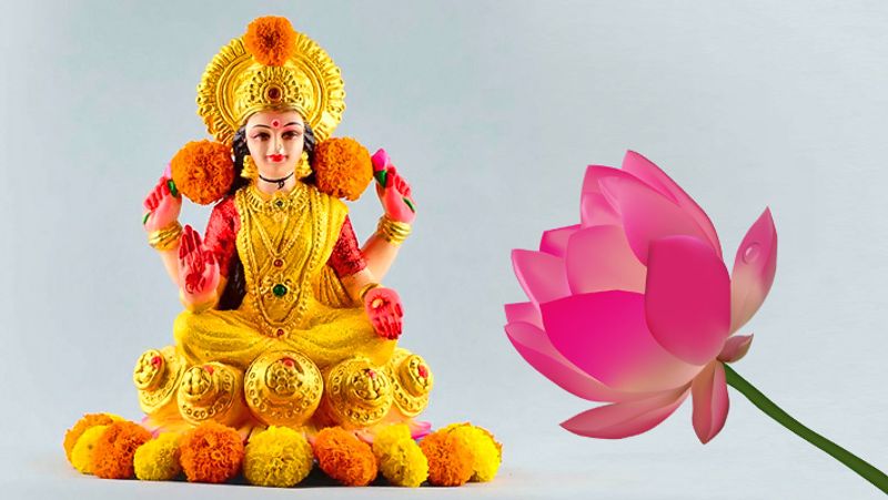 2. एकादशी पर किसी विष्णु मंदिर में पीले रंग का ध्वज अर्पित करें और देवी लक्ष्मी को कमल के फूल चढ़ाएं। इससे धन लाभ के योग बन सकते हैं।
