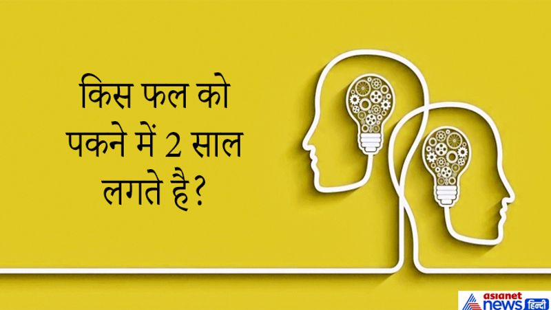 सवाल: किस फल को पकने को में 2 साल लगते है?
जवाब: अनानास।