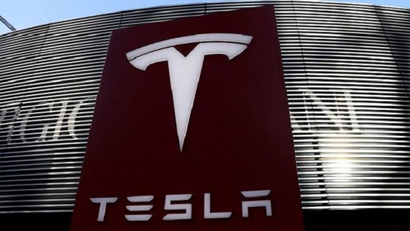 Elon Musk's reply to India's famous YouTuber's tweet, explained why Tesla is delayed in coming to India