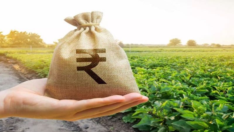 5) Focus on agriculture and allied activities
The economists said that agriculture and allied activities sector required continuous focus with the consolidation of reforms. They said spending on creation of agriculture infrastructure must be expedited which would result in the enhanced capacity of cold storage and warehousing facilities in the country. They also sought allocation of additional funds towards food processing schemes along with incentives for agri-exports.