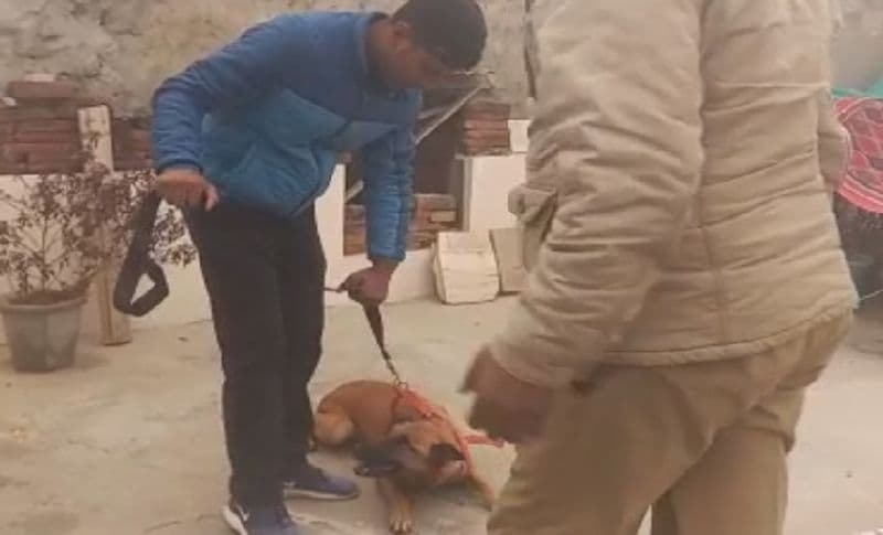 भरतपुर पुलिस ने मामले की जांच करने के लिए डॉग स्क्वॉड को भी बुलाया है। जांच में सामने आया है कि आरोपी लड़की से एकतरफा प्यार करता था। दोनों के घर पास-पास में हैं, इसी बात का फायदा उठाकर उसने फिल्मी स्टाइल में अपने घर की छत से सीढ़ी लगाकर दूसरे घर की छत पर पहुंचा। जहां से तीसरे घर की छत पर पहुंचा, जिसके बाद हत्या कर दी।
