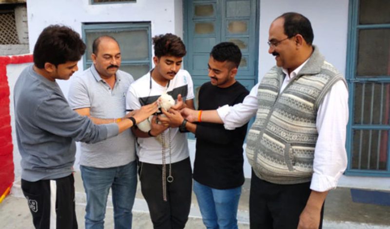 अब आप सोच रहे होंगे कि ऐसी बिल्लियां भला भारत में कहा होती हैं? तो आपको बता दें कि ऐसा नहीं है। हाल ही में मध्य प्रदेश के बैतूल में इस दुर्लभ बिल्ली के मिलने से लोग हैरान रह गए। कई लोग इसे देखने दूर-दूर से पहुंच रहे हैं। 