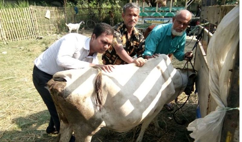 लम्पी डिजीज में जानवरों की बॉडी पर गांठ बनने लगती है। ये बड़े होने लगते हैं और इसके बाद ये घाव में बदल जाते हैं। तेज बुखार जानवर को अपनी चपेट में ले लेता है। अगर पशु प्रेग्नेंट है तो उसके गर्भपात के चांसेस बढ़ जाते हैं। 