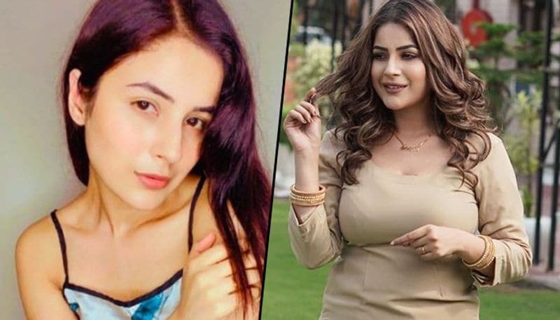 Punjab sensation and Bigg Boss contestant of the previous season captured many people's hearts and got a huge amount of followers on her social media platforms. But do you know that your chubby cute 'Shona-Shona' star lost 13 kgs of weight?