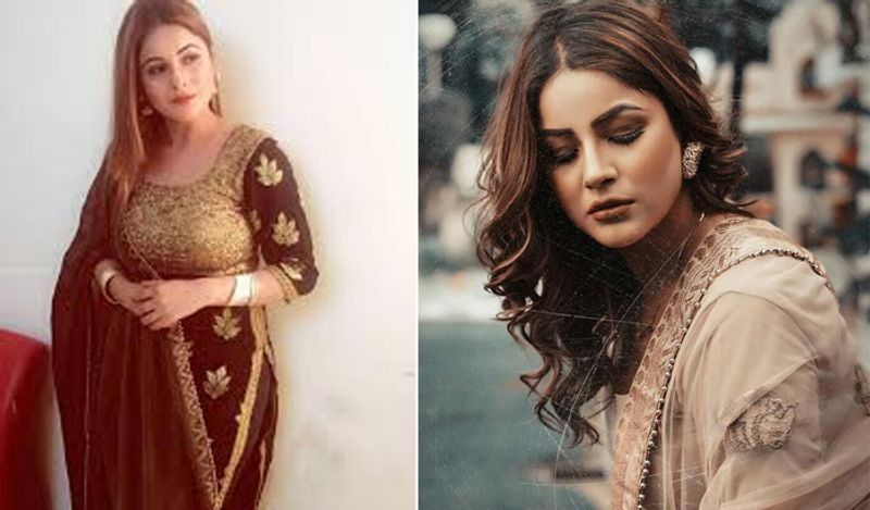 बिग बॉस में आने से पहले शहनाज औैर हिमांशी खुराना आपसी दुश्मनी के चलते काफी विवादों में थीं। दरअसल, शहनाज गिल ने लाइव जाकर हिमांशी खुराना के एक गाने 'आई लाइक इट' को सबसे घटिया गाना बताया था।
