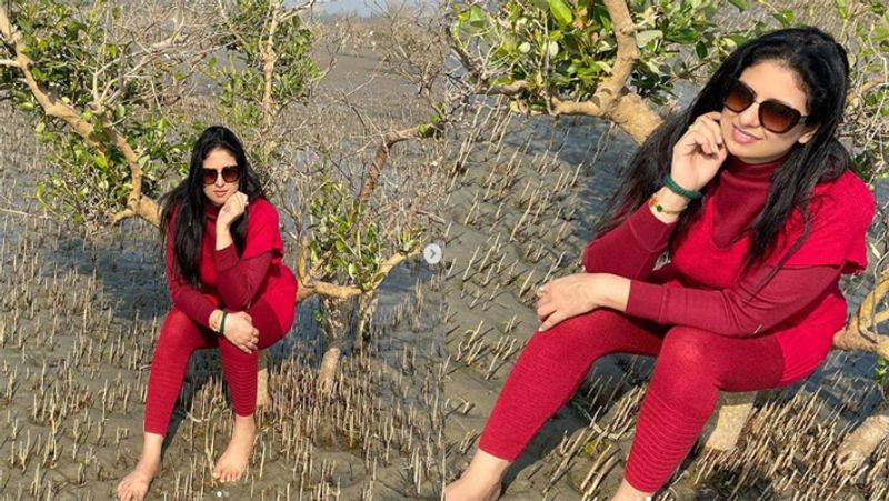 पति से अलग रहने के लगभग 3 साल बाद हसीन पर्दे पर आने को तैयार हैं। इन दिनों वह कुछ मॉडलिंग प्रोजेक्ट भी पूरा कर रही है।