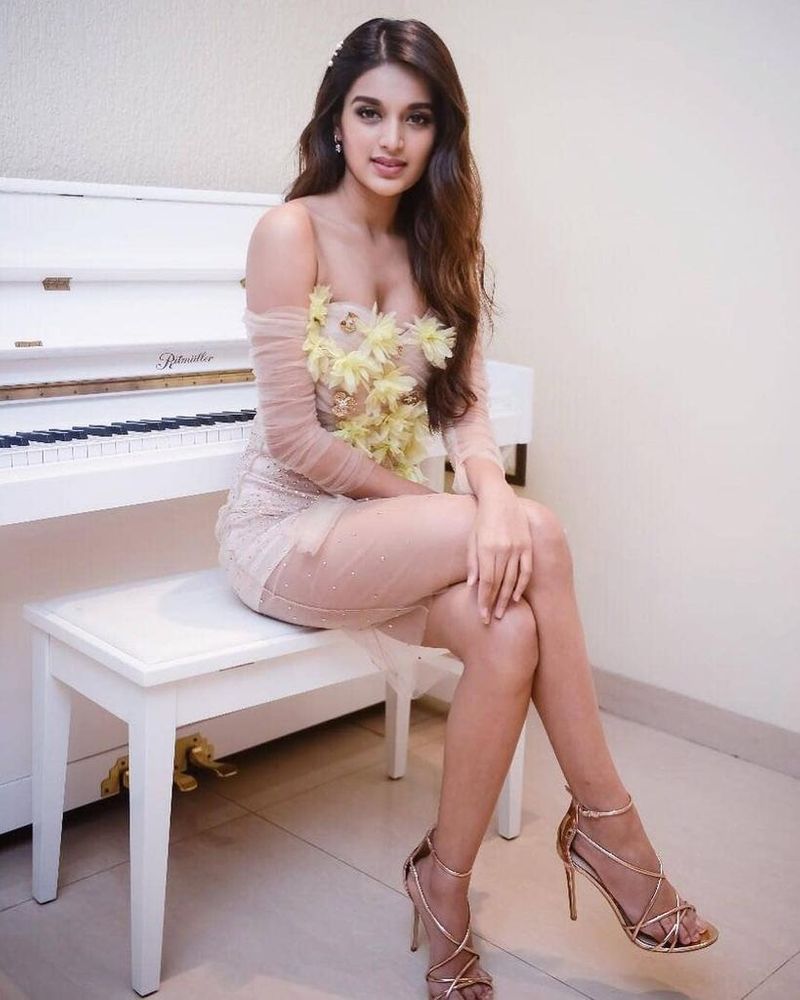 శింబుతో `ఈశ్వరన్`, జయంరవితో `భూమి` చిత్రాల్లో నటించింది. సంక్రాంతి కానుకగా విడుదలైన ఈ సినిమాలు ఆకట్టుకున్నాయి. ఇందులో నిధికి మంచి పేరు వచ్చింది.