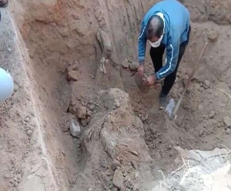 इसके बाद उसने आस-पड़ोस के लोगों से पूछताछ कि तो बताया कि दोनों कई दिनों से गायब हैं। इस पर महिला ने पुलिस से दोनों की तलाश करने की मांग की। पुलिस ढाबी टेक सिंह गांव पहुंची। लोगों से पूछताछ के बाद पूरे घर की तलाशी ली। 
