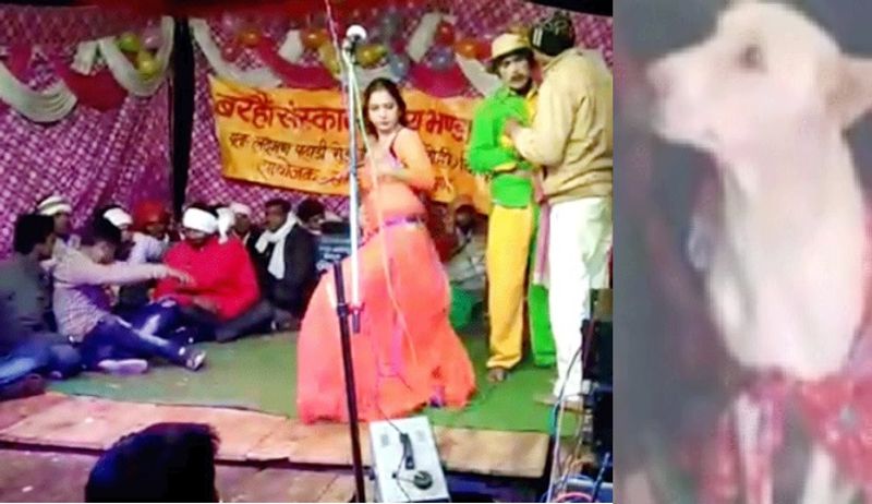 मुस्तफा खान की डॉगी जूली ने पांच पिल्लों को जन्मदिया, जिसके बाद उन्होंने इस मौके को खास बनाने के लिए कोई कसर नहीं छोड़ी। बताया जा रहा है कि इस जश्न में दो हजार लोगों को खाने का न्योता दिया गया था।

