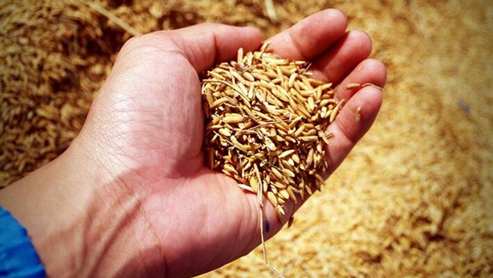 Indian agri export Indian agri export