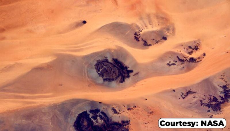 NASA says that dust from the Sahara fertilizes the Amazon rainforest. 27.7 million tons blow all the way across the Atlantic Ocean to the rainforest each year where it brings phosphorus -- a nutrient plants need to grow. 