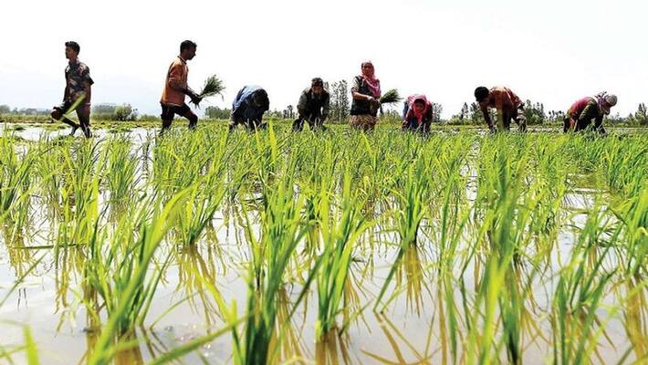 Government launches Atmanirbhar Krishi App for farmers pod Government launches Atmanirbhar Krishi App for farmers pod