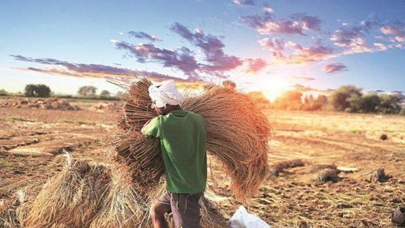 From Kisan Rail to Kisan Udan to Kisan Credit Card... How Modi govt has empowered India's farmers