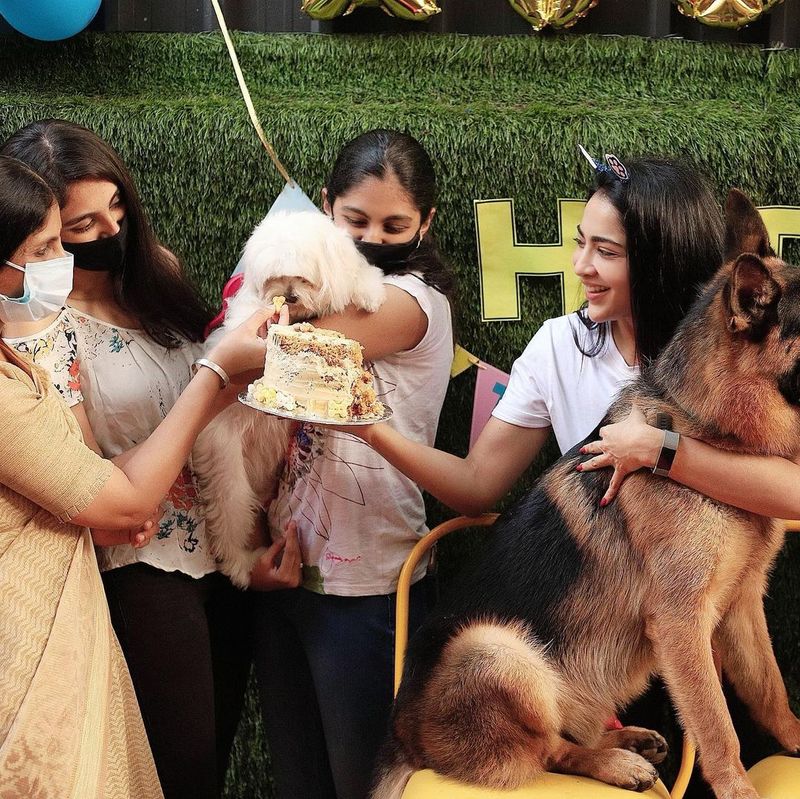 அந்த வகையில் நடிகை சமந்தா, கீர்த்தி சுரேஷ் போன்றவர்கள் தங்களுடைய செல்ல பிராணிகள் பிறந்தநாளை கேக் வெட்டி கொண்டாடிய புகைப்படங்களை இன்ஸ்டாகிராம் பக்கத்தில் பகிர்ந்து தங்களுடைய மகிழ்ச்சியை வெளிப்படுத்தி இருந்தனர்.