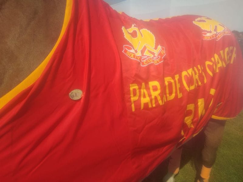 Rio has been the contingent commander's charger for the last 16 years. He started participating in the parade at the age of 4.
“He is a special horse. He hears the human voice, when the commander gives the command he reacts accordingly,” Contingent Commander Capt Deepanshu Sheoran told Asianet Newsable before 72nd Republic Day parade.
