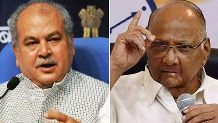 Agriculture Minister counters Sharad Pawar's criticism of farm laws-dnm Agriculture Minister counters Sharad Pawar's criticism of farm laws-dnm