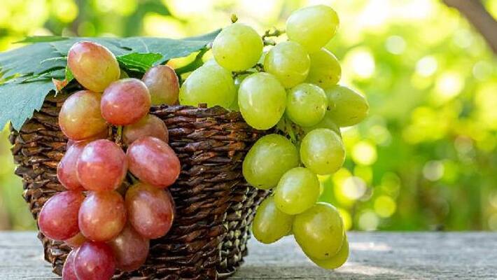 five reasons why experts suggests you to eat grapes five reasons why experts suggests you to eat grapes