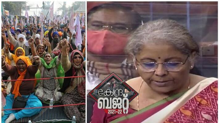 union budget 2021 protest by pujab mps in parliament in budget presentation union budget 2021 protest by pujab mps in parliament in budget presentation