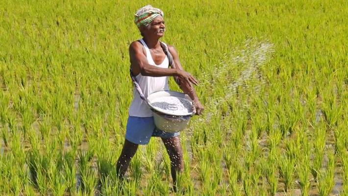 field trials of GM Crops will not be taken up for consideration by the GEAC without recommendations from states mnj field trials of GM Crops will not be taken up for consideration by the GEAC without recommendations from states mnj