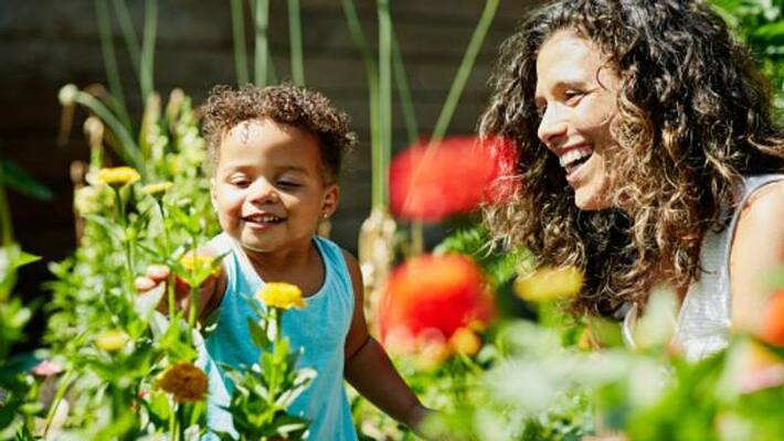 Seven things you should not do in your garden Seven things you should not do in your garden