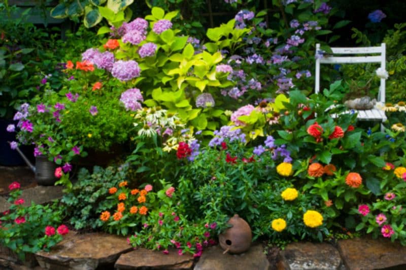 Plant your garden according to vaastu