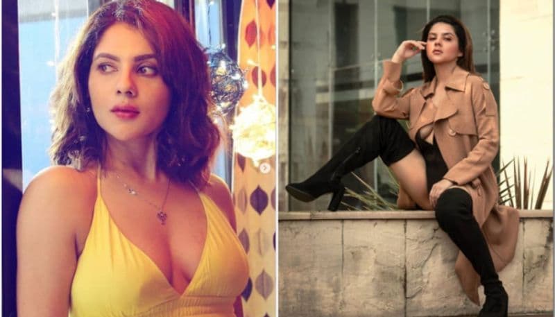 bengali actress paayel sarkar shares her latest bengali look photoshoot on social media BRD
